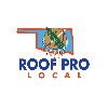 Roof Pro Local - Edmond